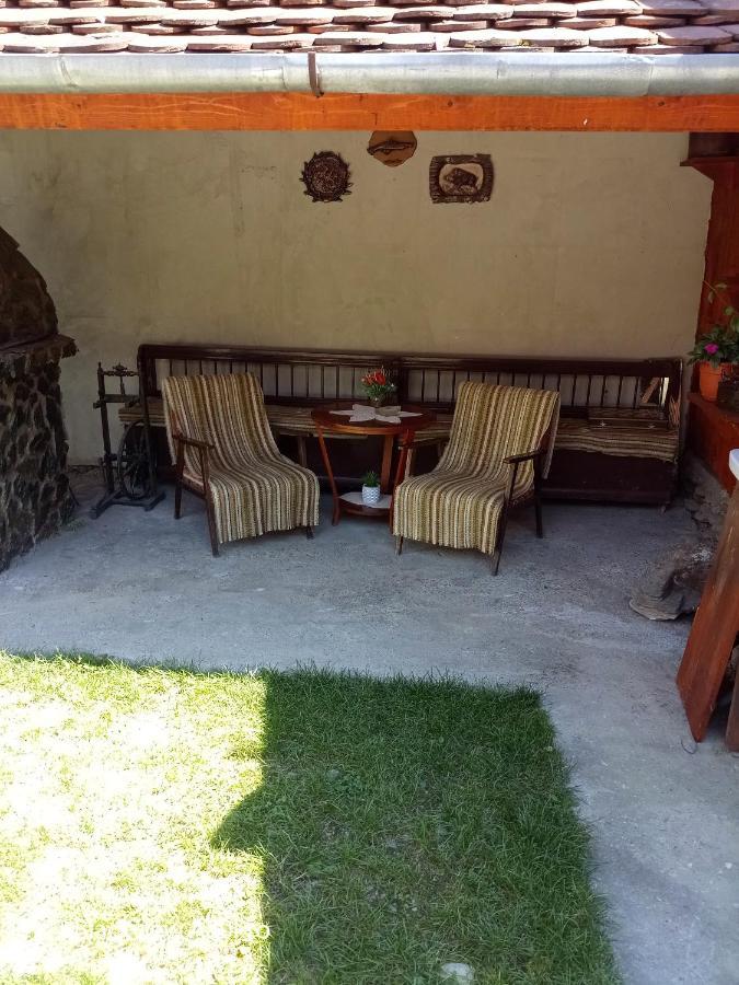 Casa Mari Hotel Cartisoara Exterior photo